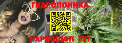 ПСИЛОЦИБИНОВЫЕ ГРИБЫ Будённовск