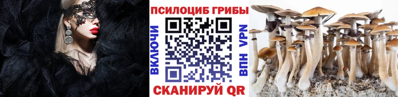 Псилоцибиновые грибы мухоморы Кимовск