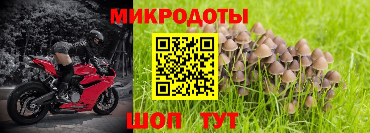 Псилоцибиновые грибы Cubensis  купить наркотики цена  Кимовск  Вход с VPN 