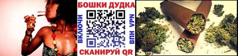 Шишки марихуана сатива KRAKEN маркетплейс Кимовск где купить наркоту